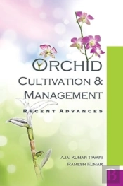 Orchid