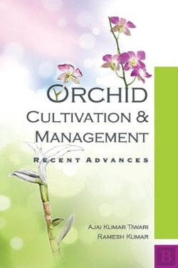 Bertrand.pt - Orchid