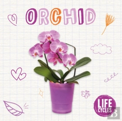 Bertrand.pt - Orchid