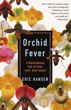 Bertrand.pt - Orchid Fever