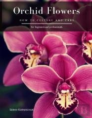 Orchid Flowers