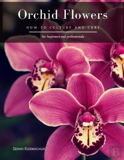 Bertrand.pt - Orchid Flowers