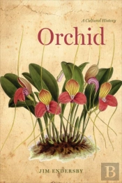 Orchid