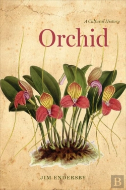 Bertrand.pt - Orchid