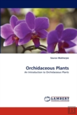 Bertrand.pt - Orchidaceous Plants