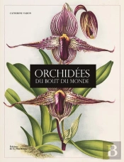 Orchidees Du Bout Du Monde