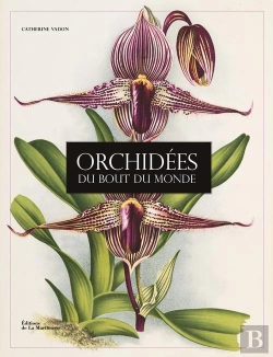 Bertrand.pt - Orchidees Du Bout Du Monde