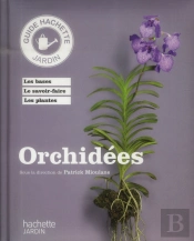 Orchidees