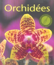 Orchidees