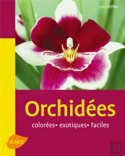 Bertrand.pt - Orchidées