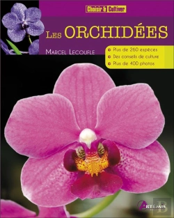 Bertrand.pt - Orchidees