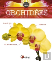 Orchidées