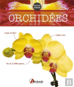 Bertrand.pt - Orchidées