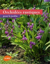 Orchidees Rustiques Pour Le Jardin