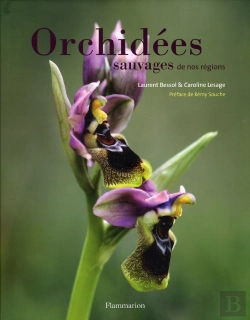 Bertrand.pt - Orchidees Sauvages De Nos Regions