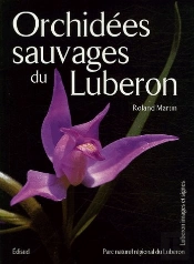 Orchidees Sauvages Du Luberon