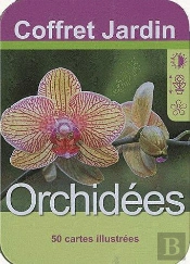 Orchidees