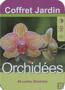 Bertrand.pt - Orchidees