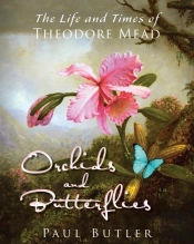 Orchids And Butterflies