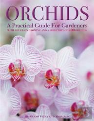 Orchids