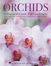 Orchids