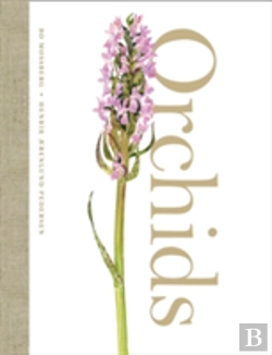 Bertrand.pt - Orchids