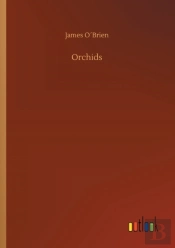Orchids