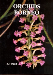 Orchids Of Borneo Volume 4