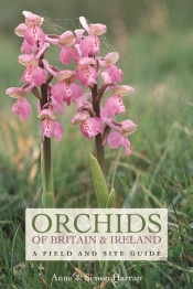 Orchids Of Britain And Ireland