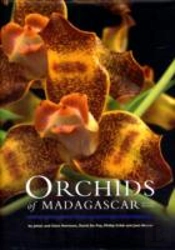 Orchids Of Madagascar