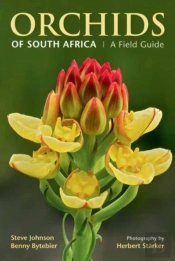 Orchids Of South Africa