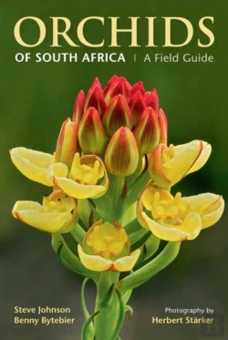 Bertrand.pt - Orchids Of South Africa