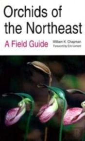 Orchids Of The Northeast
