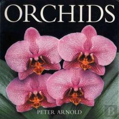 Orchids