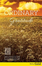 Ordinary Gratitude