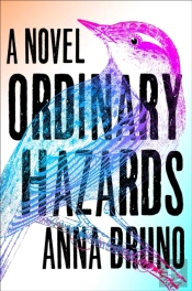 Ordinary Hazards