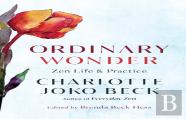 Ordinary Wonder