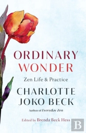 Ordinary Wonder
