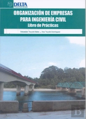 Organización De Empresas Para Ingeniería Civil
