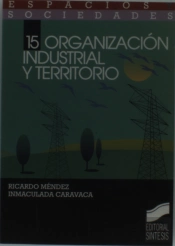 Organización Industrial Y Territorio