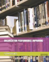 Organization Performance Improving Strategies