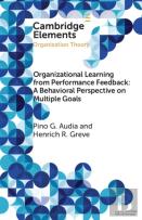 Organizational Learning From Performance Feedback: A Behavioral Perspective On Multiple Goals