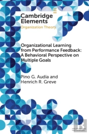 Organizational Learning From Performance Feedback: A Behavioral Perspective On Multiple Goals