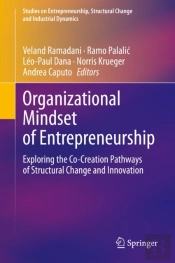 Organizational Mindset Of Entrepreneurship