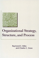 Organizational Strategy, Structure, And Process