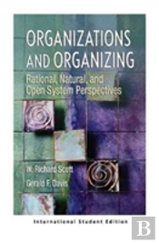 Organizations And Organizing