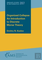 Organized Collapse: An Introduction To Discrete Morse Theory