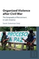 Organized Violence After Civil War