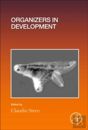 Organizers In Development