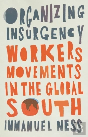 Organizing Insurgency